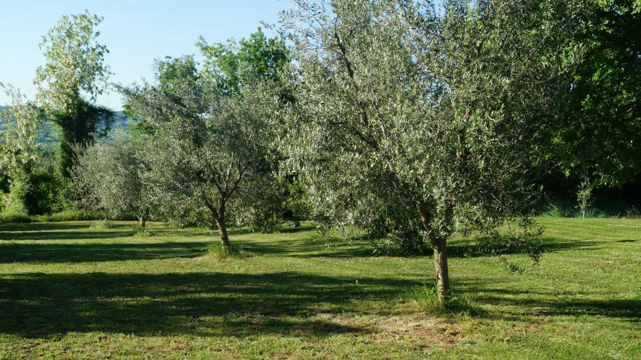 Agriturismo Poggio San Pietro Pitigliano Kültér fotó