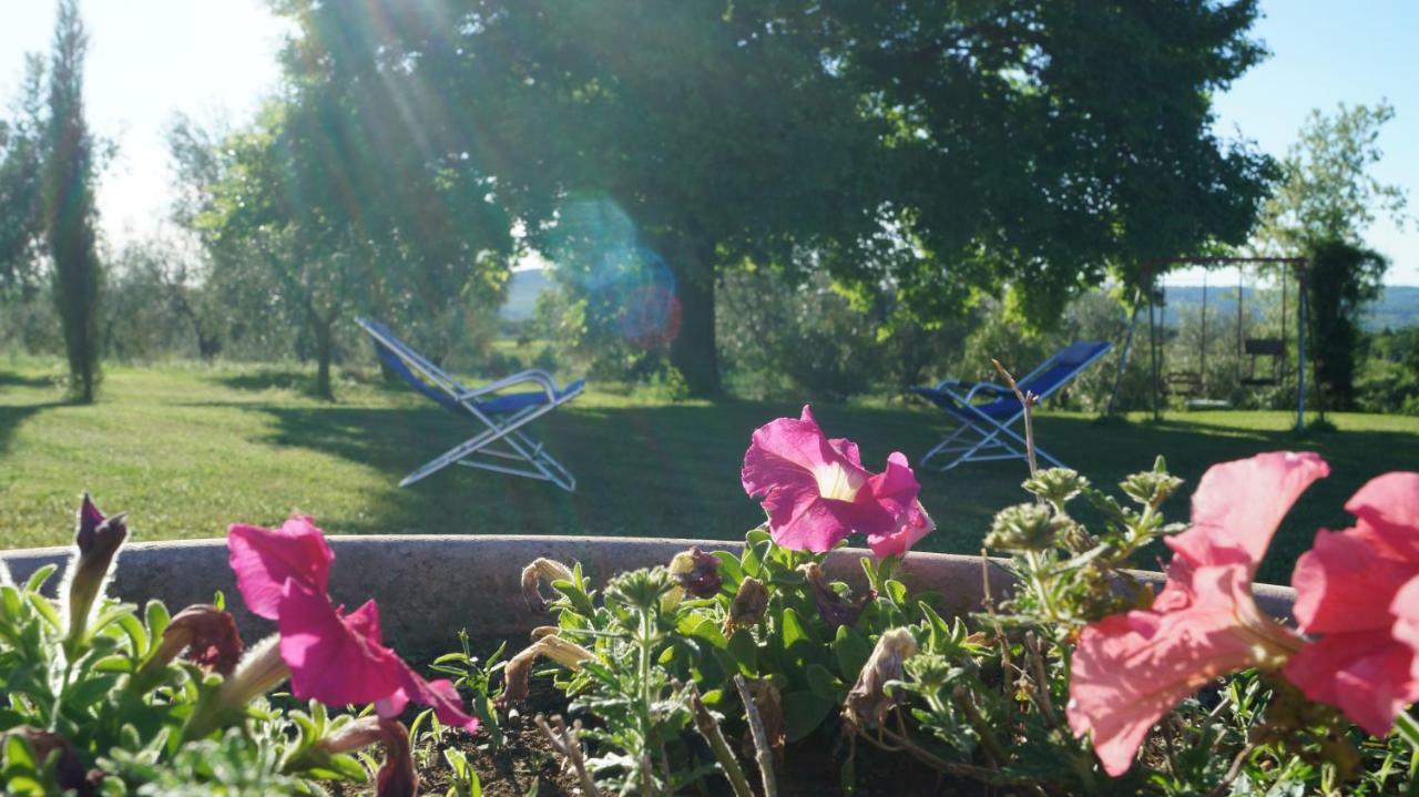 Agriturismo Poggio San Pietro Pitigliano Kültér fotó